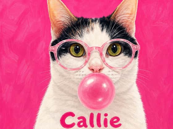 Bubblegum, landscape