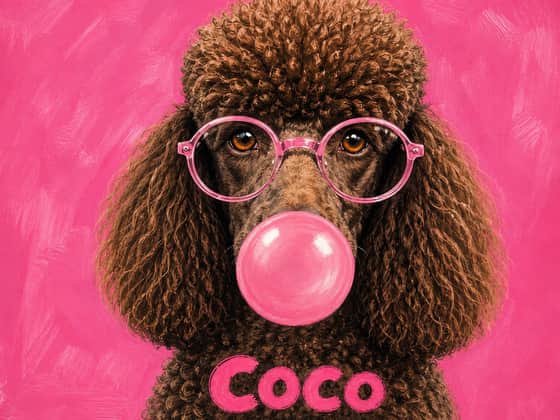Bubblegum, landscape