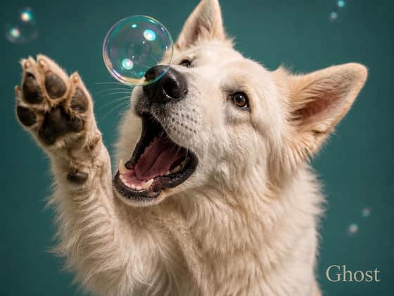 Bubbles, landscape