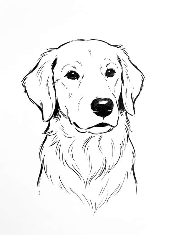 Ink Sketch