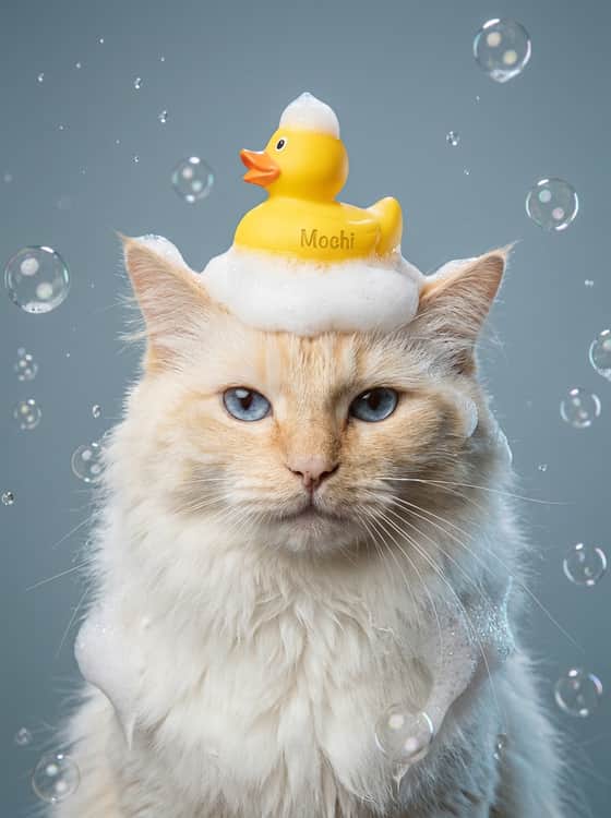 Rubber Ducky