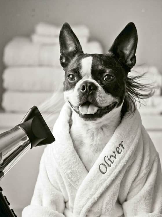 Salon Blowout