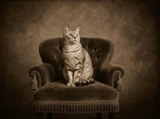 Vintage Sepia, landscape