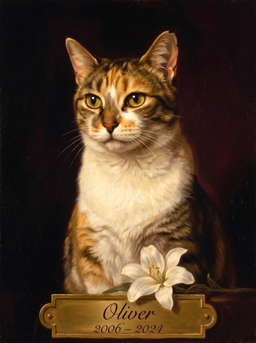 A classic, timeless memorial portrait of a cat
