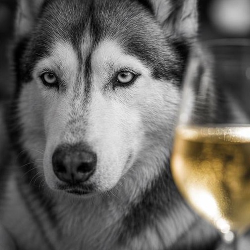 Elsa — Aperitivo Hour 4