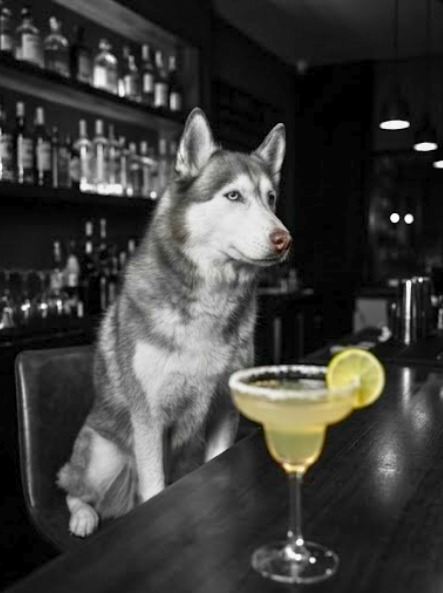 Elsa — Margarita 2
